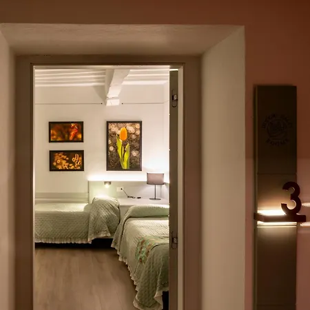 Duccio Nacci Rooms- Gasthuis